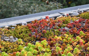 the cost of New Swanage green roof installation
