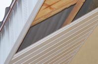rated New Swanage soffit repair companies